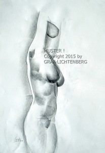 0018 Akt im Juni 11 - 40 x 60