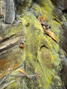 Felsabstraktion Dernau